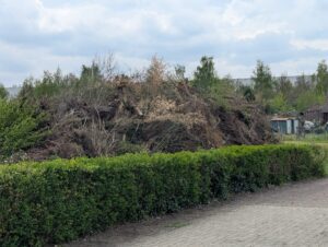 WhatsApp Bild 2025-04-19 um 21.47.53_7118a9b6