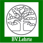 Bv lehrte logo